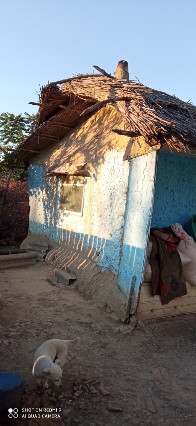 287745880_914640896600733_979505185830795471_n (Small).jpg